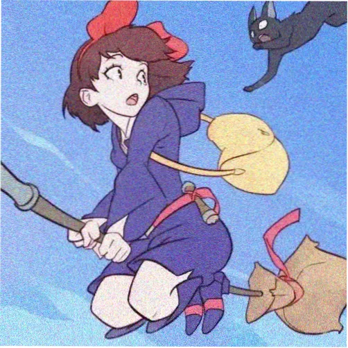 海狮伙伴